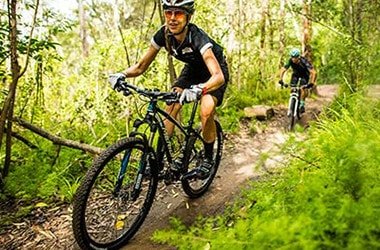 If you're an active kind of person, your visit to Hornsby Shire won't be complete until you visit the new Mountain Bike Trail